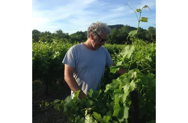 Domaine Reynaud