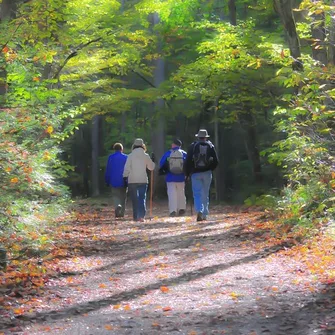 Ardennes Haybes Forest Rando