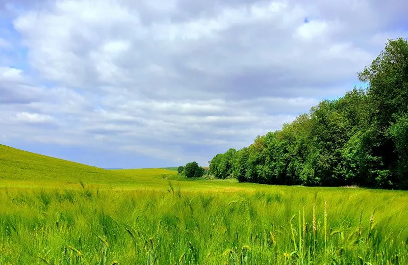 Entre les hauts et les fonds de Warnécourt