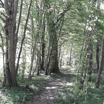 variante vtt sentier des 2 étangs