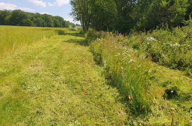 Entre les hauts et les fonds de Warnécourt