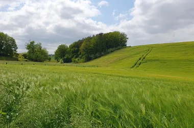 Entre les hauts et les fonds de Warnécourt