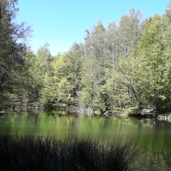 Sentier de la Linette