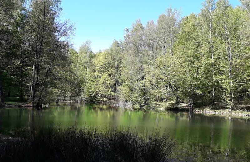 Sentier de la Linette