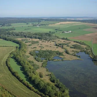 Variante Sentier découverte Natura 2000 – Le Vieil Etang