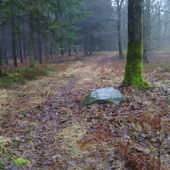 Sentier des Templiers