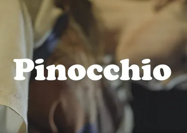 Spectacle de Pinocchio