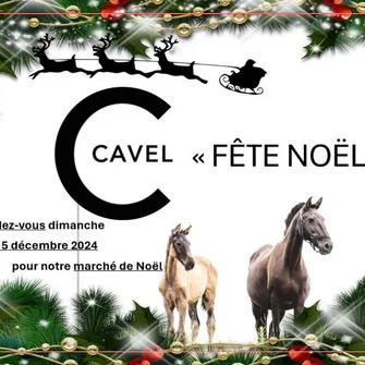 CAVEL FÊTE NOÊL