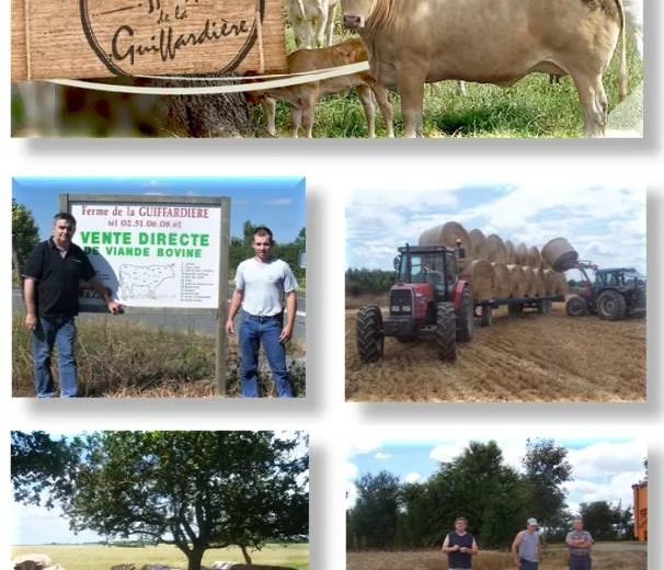 FERME DE LA GUIFFARDIERE