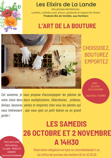 Atelier “l’art de la bouture” – les Herbiers