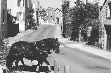 Carruaje tirado por caballos en la ciudad de Mouchamps