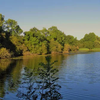 L’ETANG DES LANDES