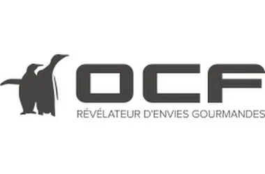 VISITES D’ENTREPRISES AU PAYS DE CHANTONNAY : OCF (COMPLET)