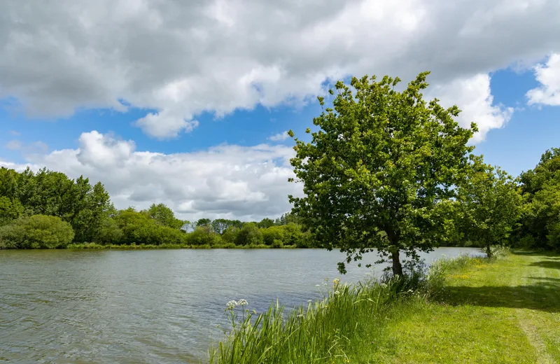 ETANG DES BROSSES