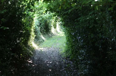 hollow path