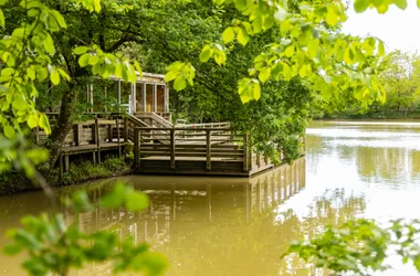 FORÊT DOMANIALE DE GRASLA