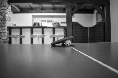Ping-pong (salle de jeux)