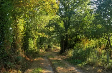 Trail near the Etang des Landes