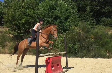 Pony club jumping
