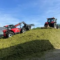 GAEC LA GRANDE MÉTAIRIE – HARICOTS BLANCS – ÉLEVAGE BOVINS