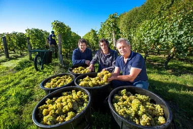 JOURNÉE DES VIGNERONS