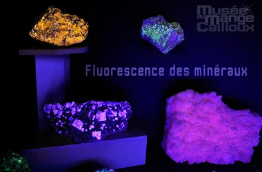 fluorescencia