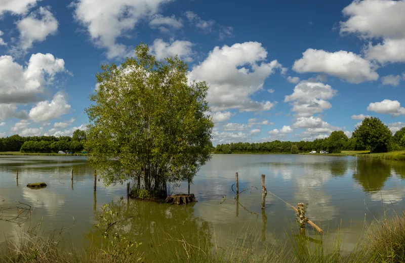 ETANG DE LA RABRETIERE