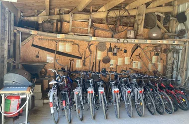 una docena de bicicletas disponibles
